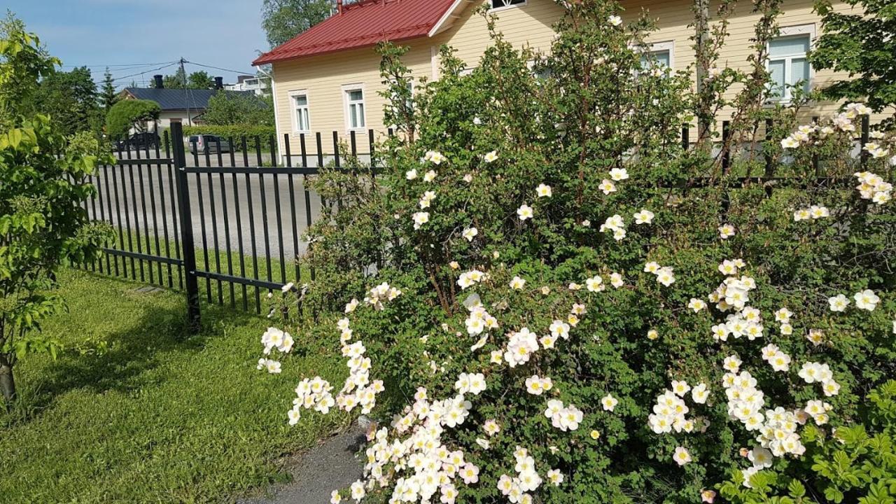 Boutique Hotelli Maakunta 福尔萨 外观 照片